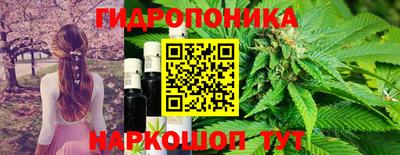 шишки Владикавказ