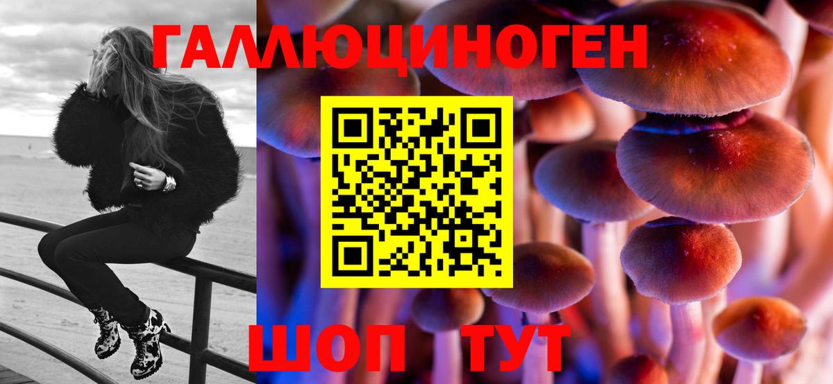 Псилоцибиновые грибы Psilocybine cubensis Артём
